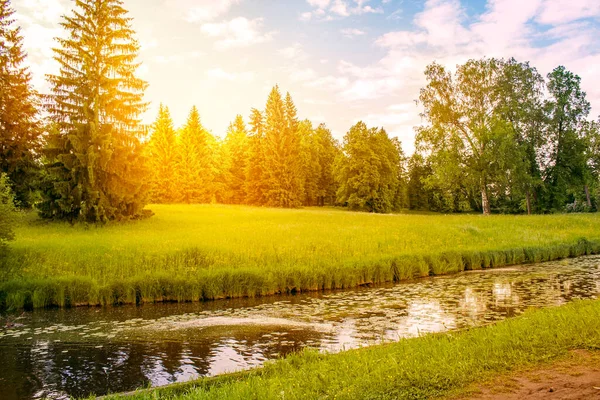 Yaz manzarası, tarla, orman ve nehir.