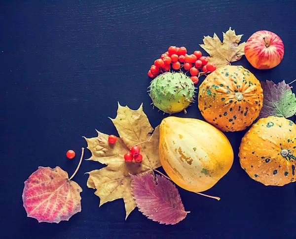 Citrouilles Châtaignes Canneberges Feuilles Automne — Photo