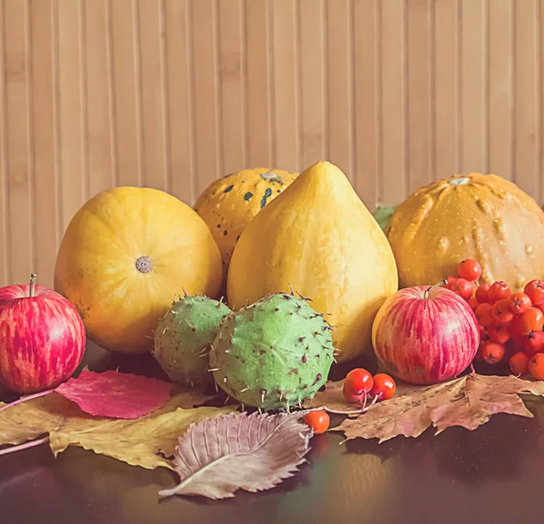 Citrouilles Fruits Automne Baies Feuilles — Photo