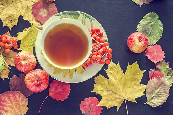 Cup Tea Autumn Leaves Apples Top View — Stock Photo, Image