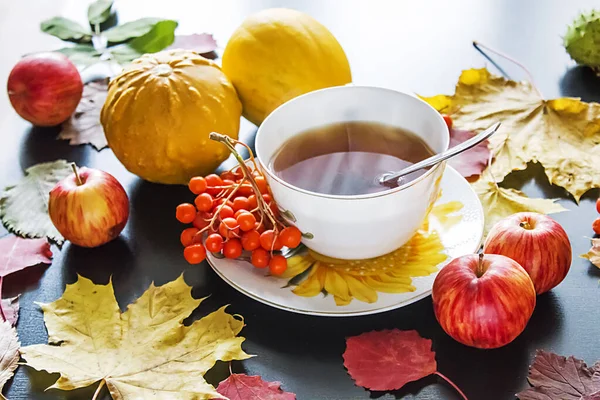 Tasse Thé Feuilles Automne Rowanberry — Photo