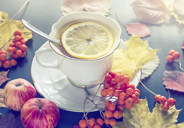 Cup Tea Autumn Leaves Apples Rowanberry — Stock Photo, Image