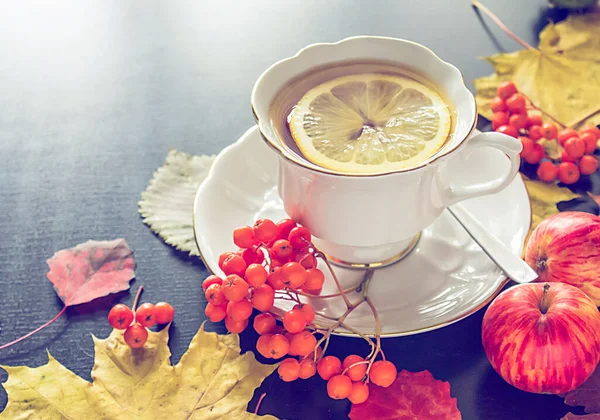 Cup Tea Autumn Leaves Rowanberry — Stock Photo, Image