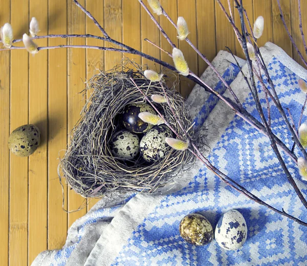 Wachteleier Nest — Stockfoto