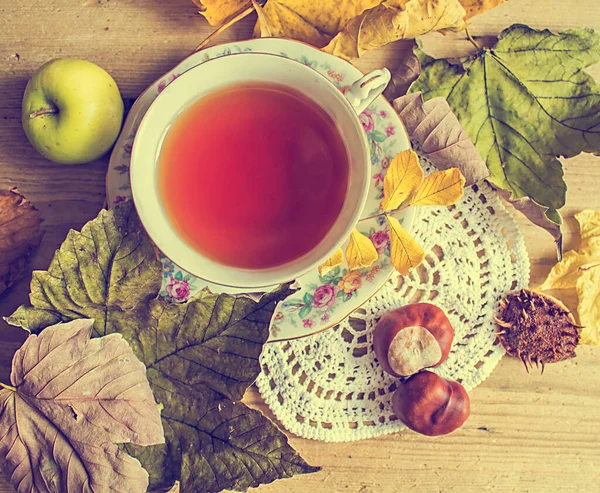 Autumn Tea Cup Tea Rowanberry Autumn Leaves Chestnut Apples — Stock Photo, Image