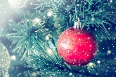 Noel kırmızı topu köknar brunchlarında, Noel ve yeni yıl tatillerinde.