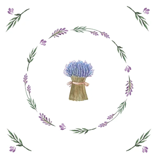 vektör suluboya buket lavanta.