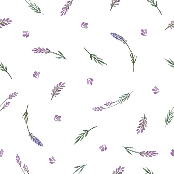 Aquarelle motif floral — Image vectorielle