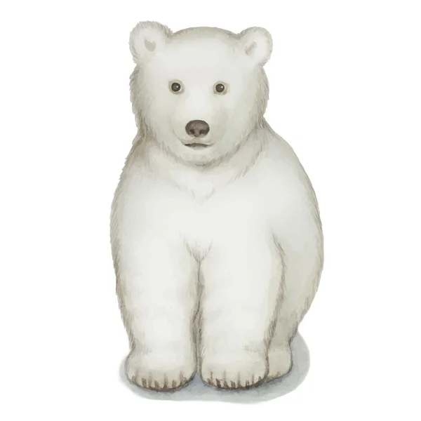 Urso polar —  Vetores de Stock