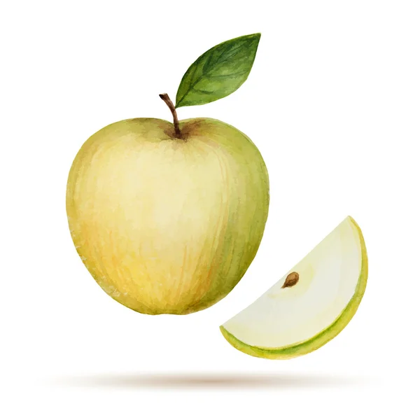 Akvarel jablko — Stockový vektor