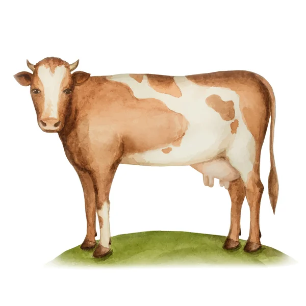 Animal agricole, une vache debout sur une prairie verte — Image vectorielle