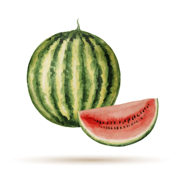 Wassermelone — Stockvektor