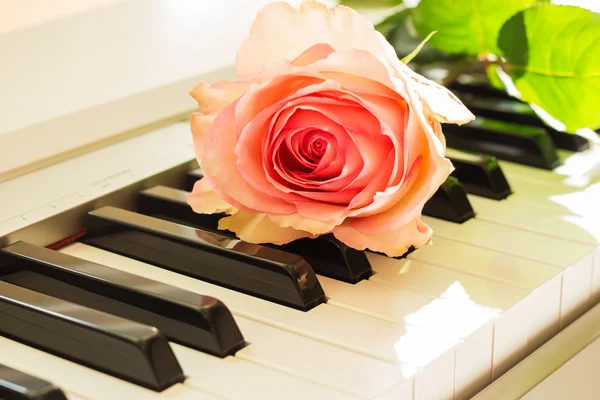 Fortepian i róża — Zdjęcie stockowe