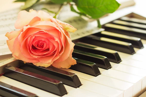 Piano and rose — Stock Photo, Image