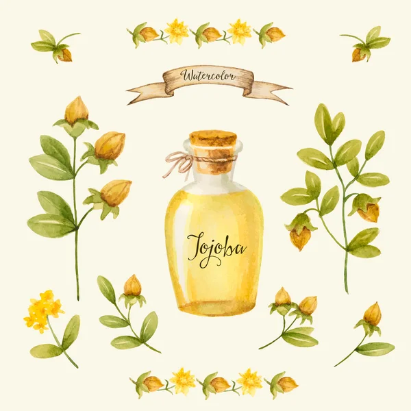 Jojoba