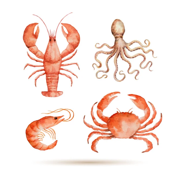 Deniz ürünleri suluboya kümesi.