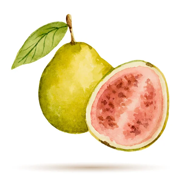Guava