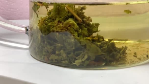 Preparando Chá Erh Bule Vidro Transparente — Vídeo de Stock