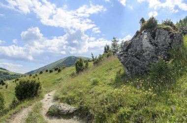 Milli Parkı Mala Fatra yolundaki turizm