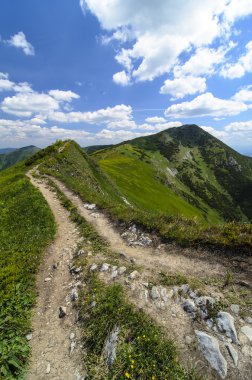 Dağ yolunda Milli Parkı Mala Fatra