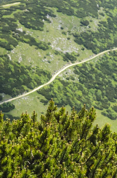 Mountain path in National park Mala Fatra — Stock Photo, Image