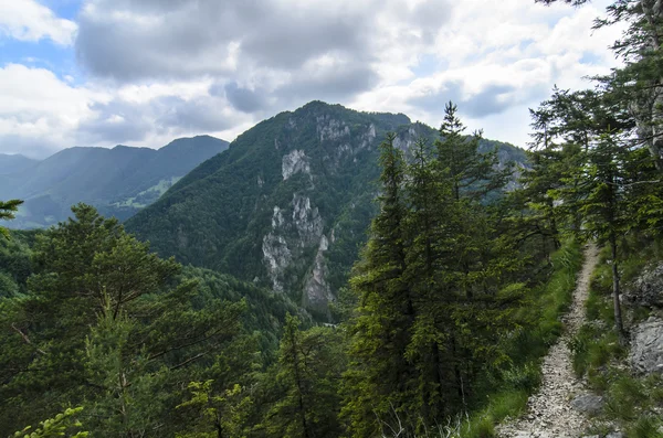 Δες στο λόφο στο εθνικό πάρκο Mala Fatra, ενώ — Φωτογραφία Αρχείου