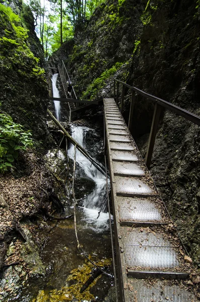 Waterfall and ladder in National park Mala Fatra — Stock Photo, Image