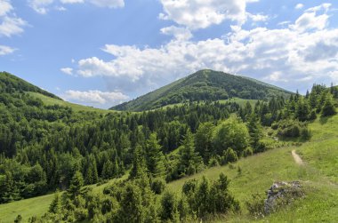 Dağı Milli Parkı Mala Fatra Stoh görüntüleyin