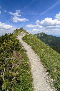 Milli Parkı Mala Fatra içinde yürüyüş yolu