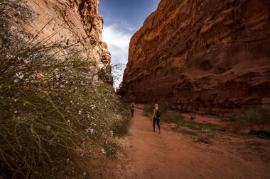 Wadi Rum ya da Ay Vadisi Ürdün 'ün güneyinde bir doğa koruma alanıdır.