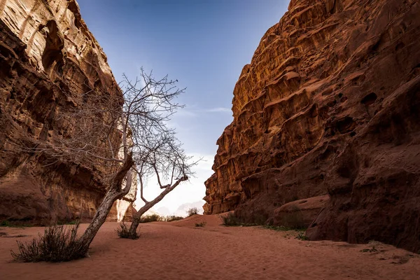 Wadi Rum Moon Valley Una Reserva Natural Sur Jordania Fotos De Stock