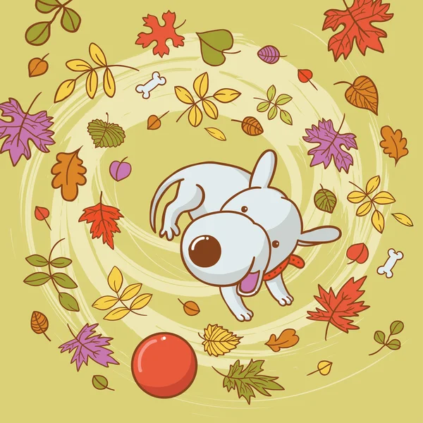 bir topla oynamayı köpek yavrusu