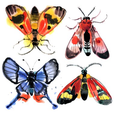 Suluboya yaz kelebekler