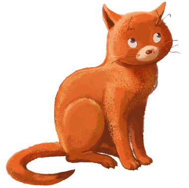beyaz arkaplandaki kedi