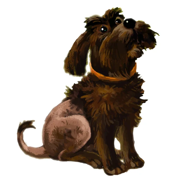 Terrier perro doméstico — Vector de stock