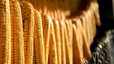 kurutulmuş mısır koçanı kulübenin içinde ipte asılı