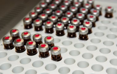 Laboratuvar örnek şişeleri