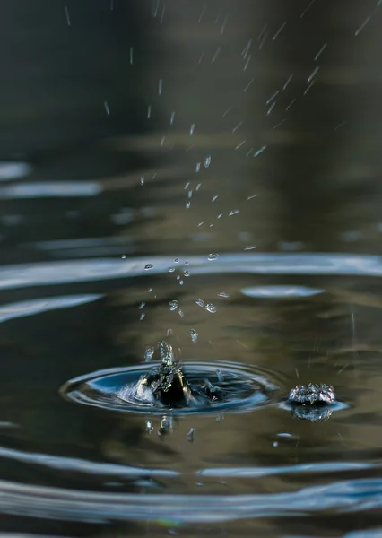 Gocce di pioggia in acqua — Foto Stock