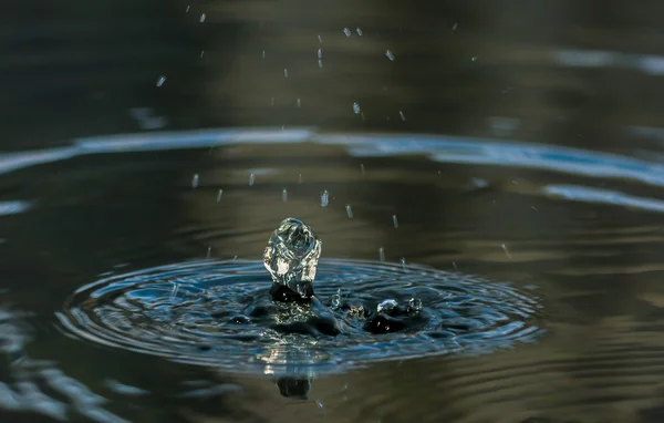 Gotas de chuva na água — Fotografia de Stock