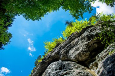 Green Canyon in Austria