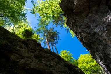 Green Canyon in Austria