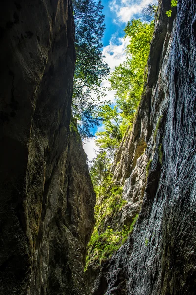 Green Canyon na Áustria — Fotografia de Stock