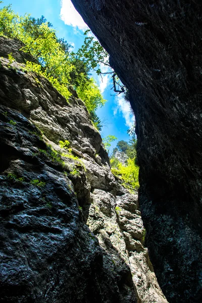 Green Canyon in Austria — Stok fotoğraf