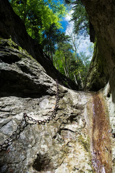 Climbing Route Through Green Canyon in Austria — стокове фото