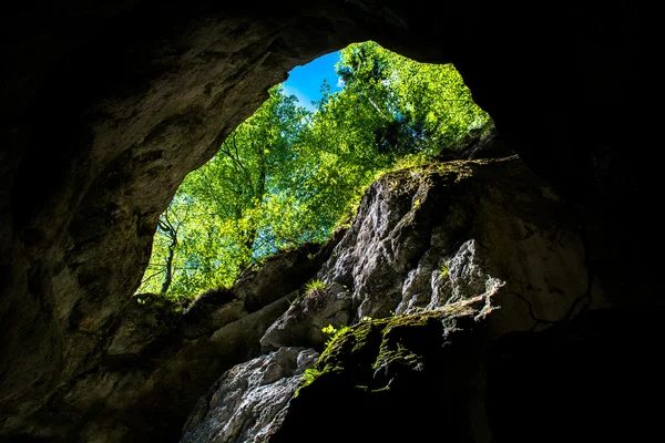 Green Canyon na Áustria — Fotografia de Stock