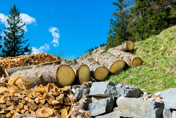 La madera y la piedra como recursos naturales — Foto de Stock