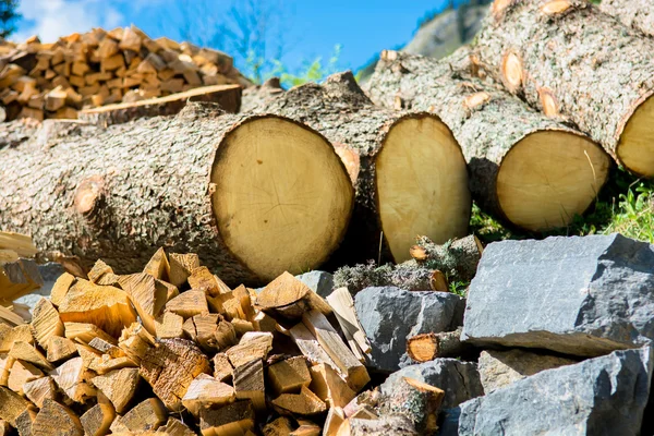 Дерево и камень как природные ресурсы — стоковое фото