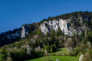 Avusturya 'da Orman ve Kaya Oluşturan Kırsal Yaz Arazisi