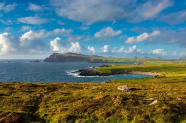 Tipperary İrlanda Sahil peyzaj