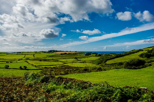 Landskap vid Irlands kust — Stockfoto